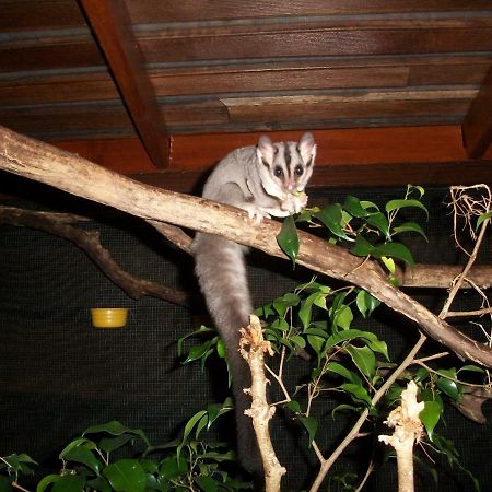 Forest Lodge: Little Villa アグネス・ウォーター エクステリア 写真