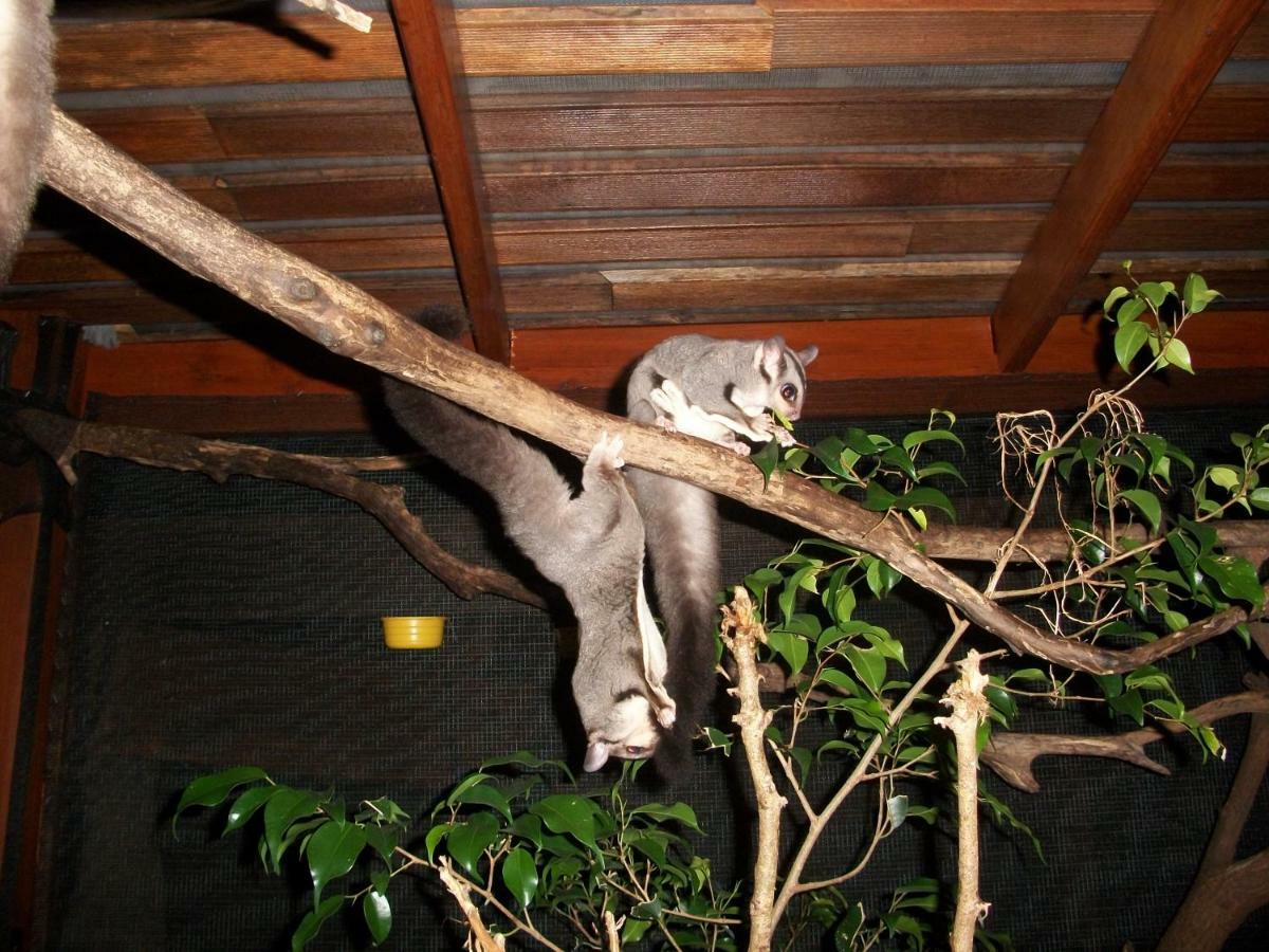 Forest Lodge: Little Villa アグネス・ウォーター エクステリア 写真